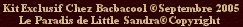 little_sandra_copyright.jpg